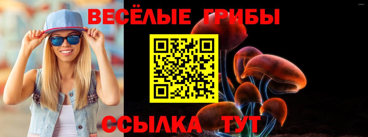 Псилоцибиновые грибы ЛСД Сорочинск